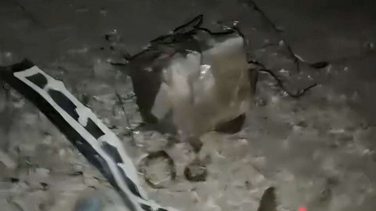 Atentado con explosivos contra instalación militar en Patía deja un soldado herido: esto se sabe