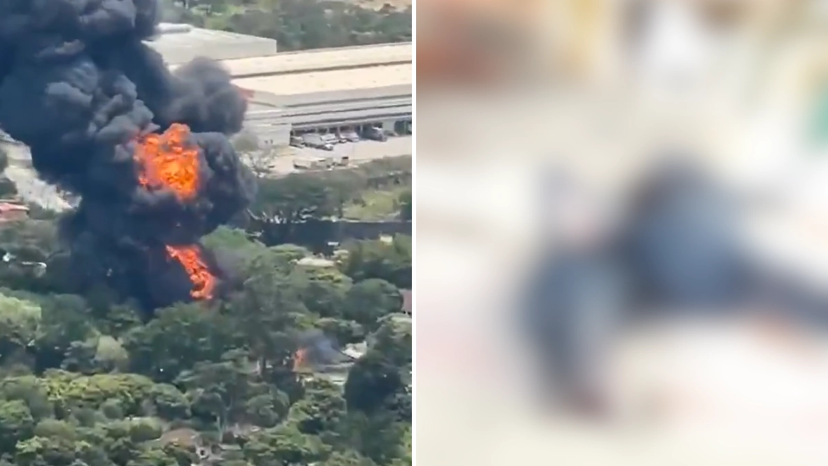El macabro hallazgo que hicieron las autoridades de Girardota en el refugio de animales afectado por un voraz incendio estructural