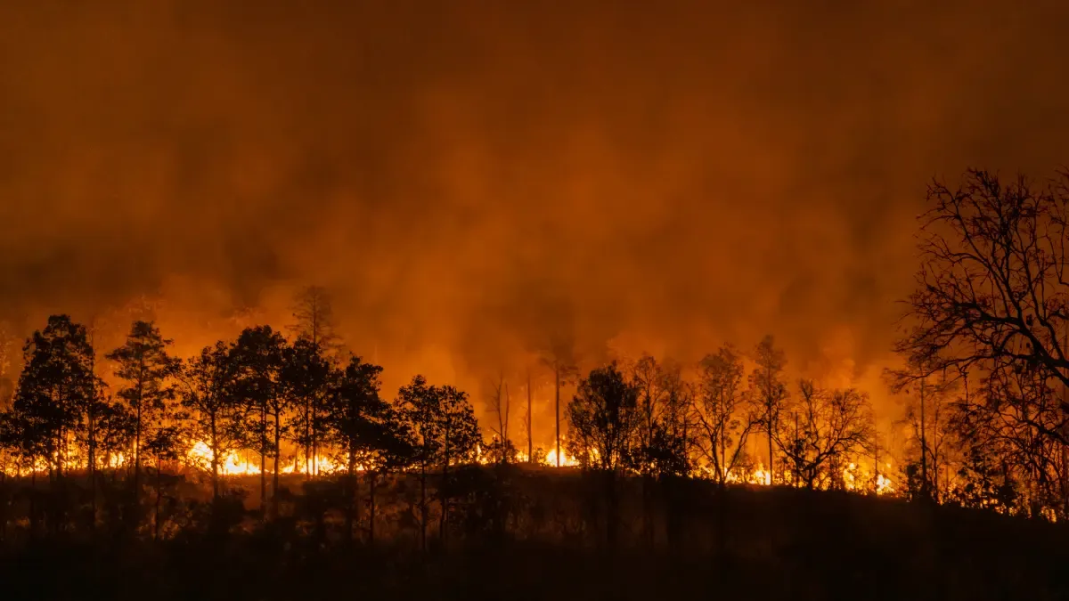 Estados Unidos entrega US$48.000 en equipos para apoyar a Colombia frente a incendios forestales
