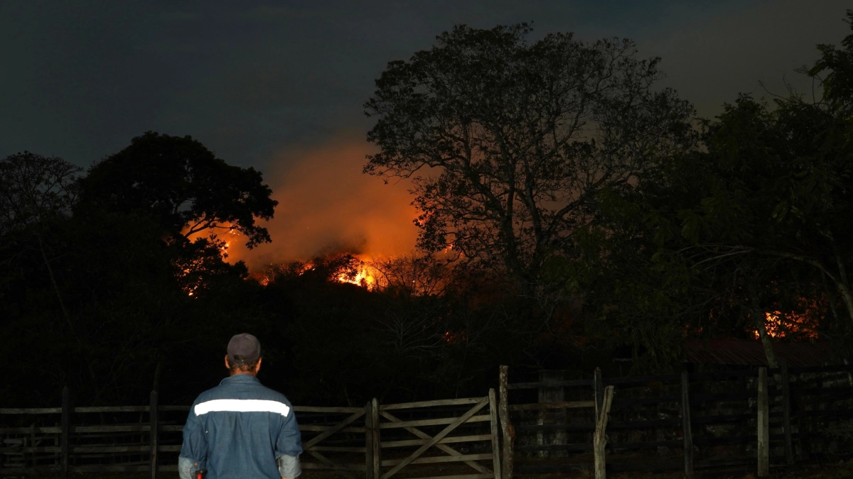 Incendios en Colombia hoy viernes 28 de agosto: últimas noticias, balance de la emergencia y nuevos focos en el país